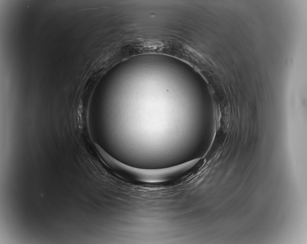 X0000088911394200706081333