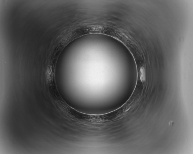 X0000088911395200706081333