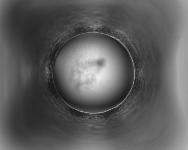X0000088911397200706081333
