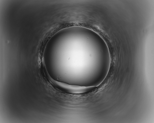 X0000088911398200706081333