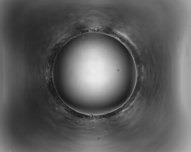 X0000088911399200706081333