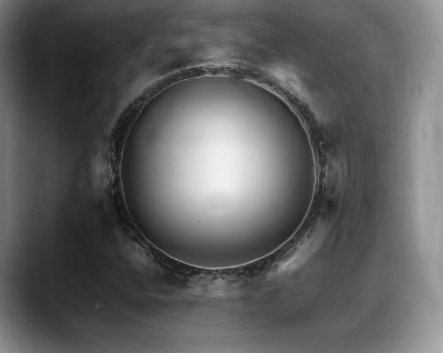 X0000088911400200706081333