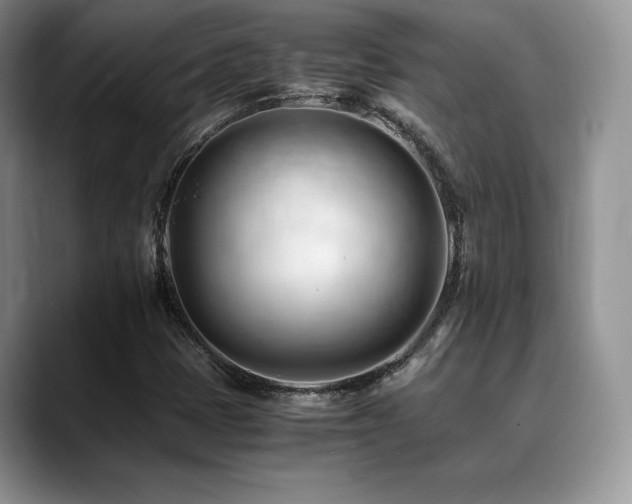 X0000088911401200706081333