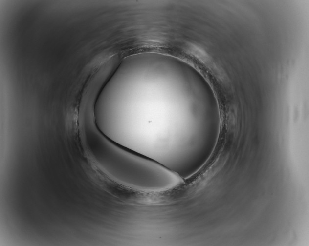 X0000088911402200706081333