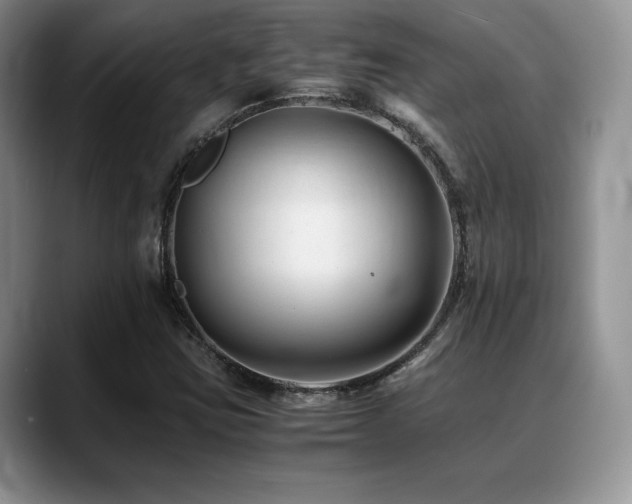 X0000088911403200706081333