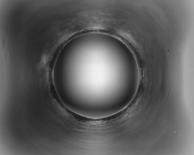 X0000088911404200706081333