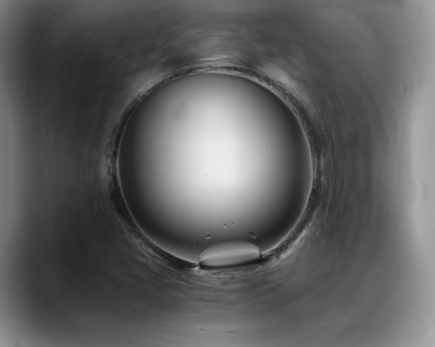 X0000088911405200706081333