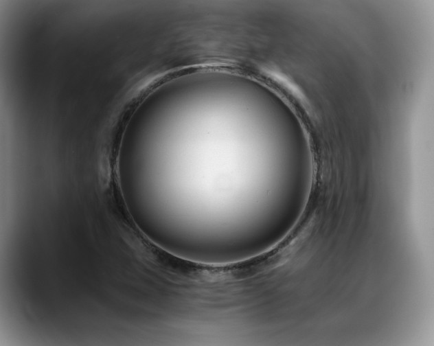 X0000088911407200706081333