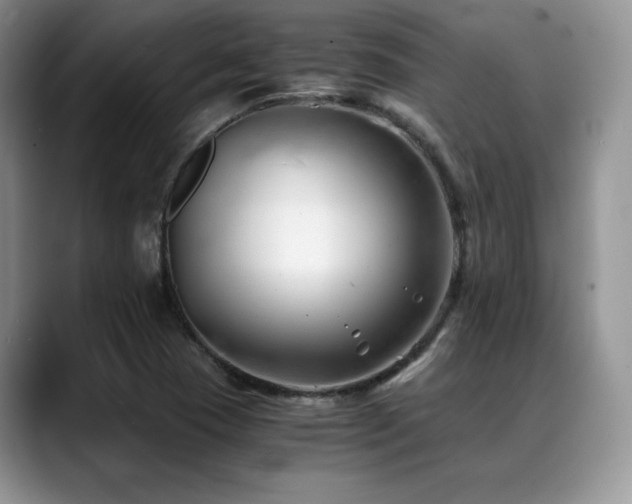 X0000088911409200706081333