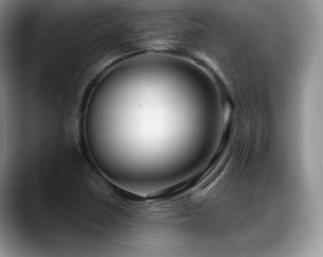 X0000088911410200706081333