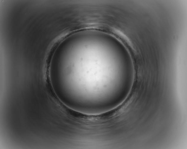 X0000088911411200706081333