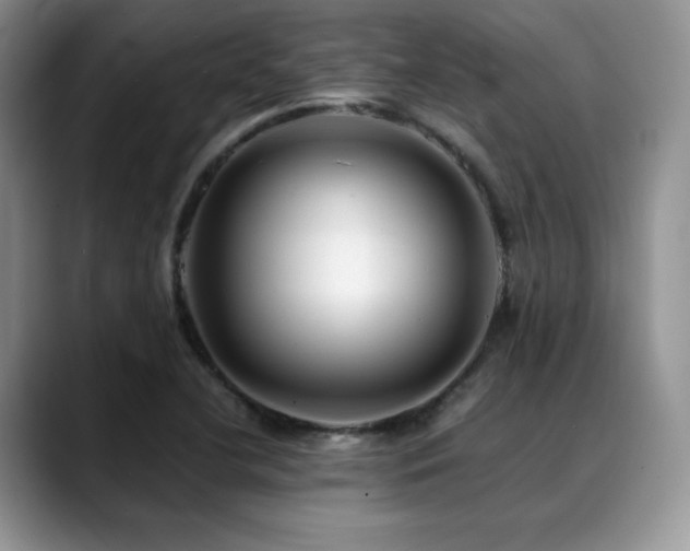 X0000088911412200706081333