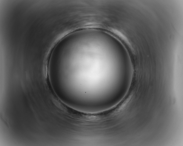 X0000088911413200706081333