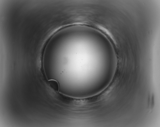X0000088911415200706081333