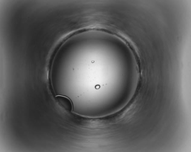 X0000088911416200706081333