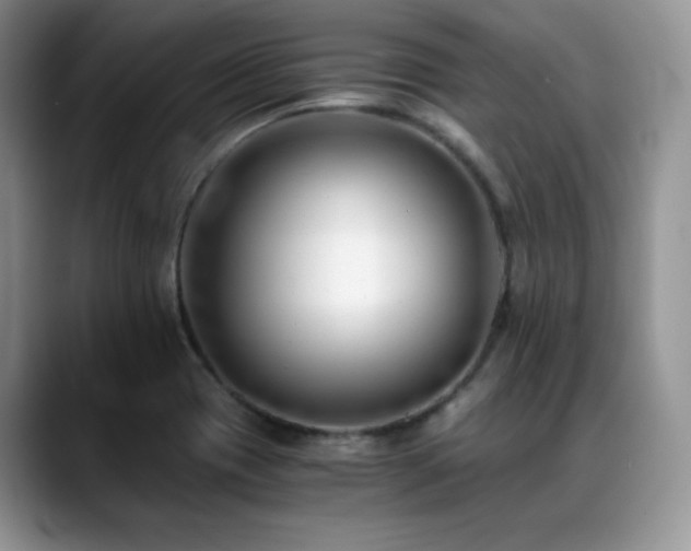 X0000088911417200706081333