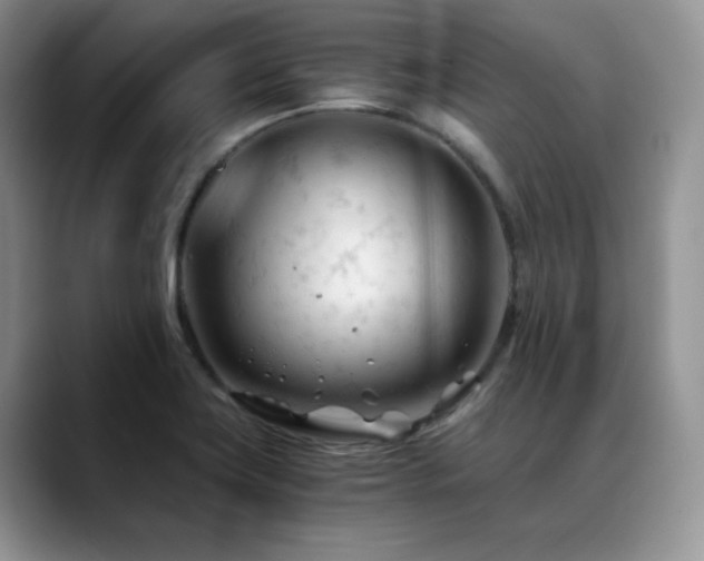 X0000088911419200706081333