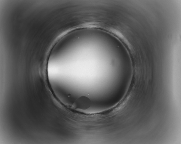 X0000088911421200706081333