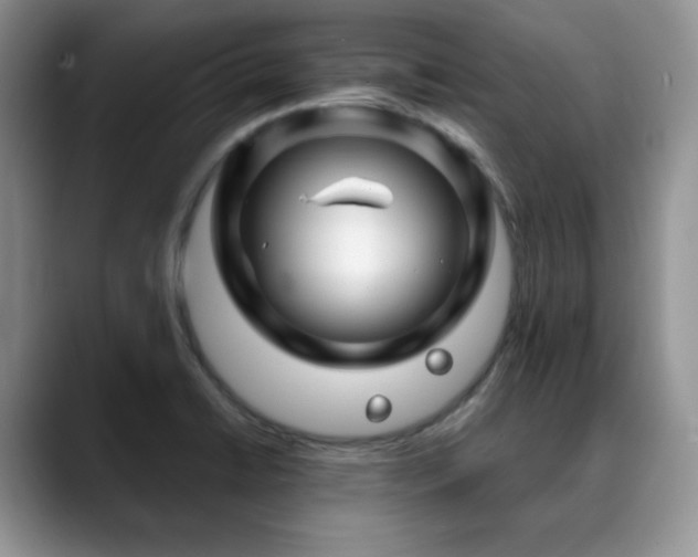 X0000088911422200706081333