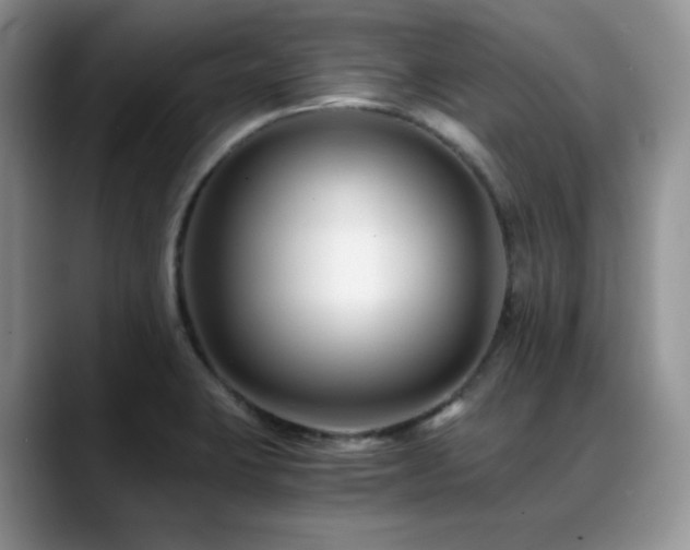 X0000088911423200706081333