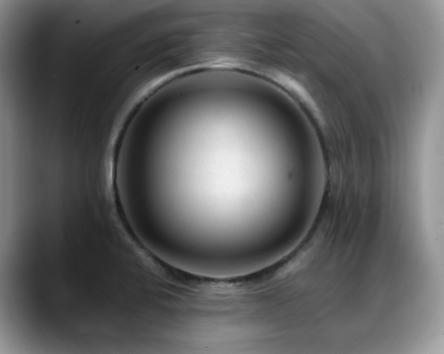 X0000088911424200706081333