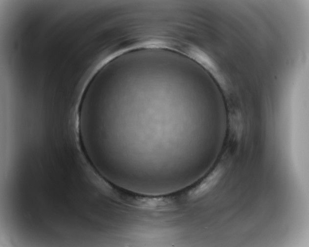 X0000088911428200706081333