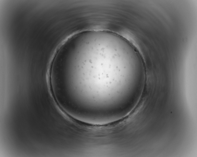 X0000088911429200706081333