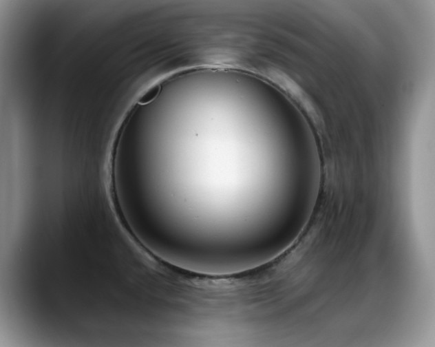 X0000088911432200706081333