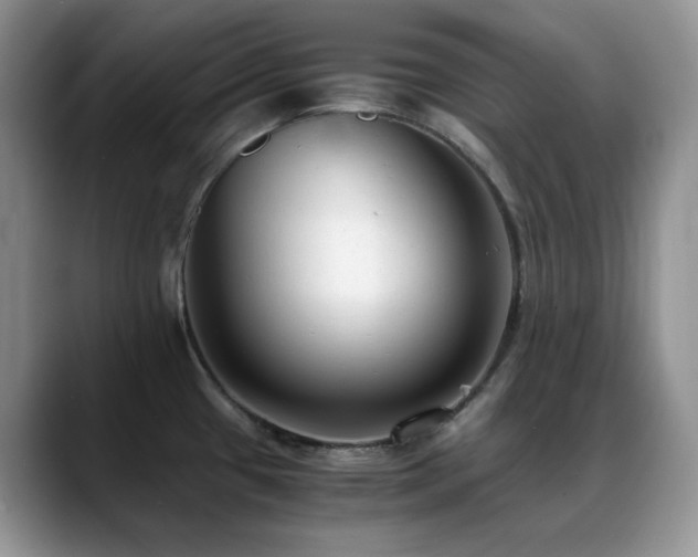 X0000088911433200706081333