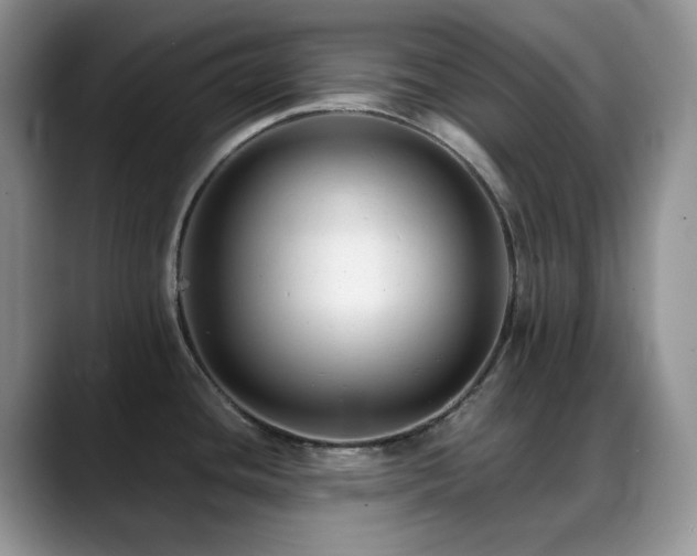 X0000088911436200706081333