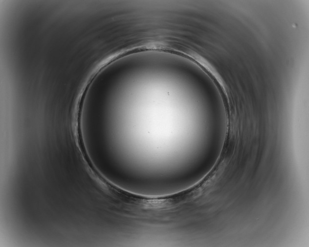 X0000088911437200706081333