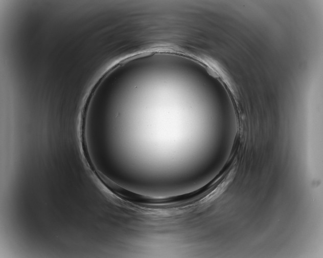 X0000088911438200706081333