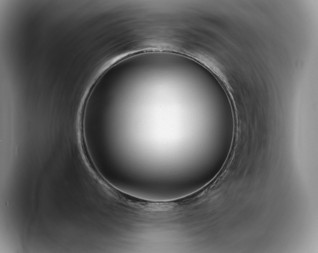 X0000088911440200706081333