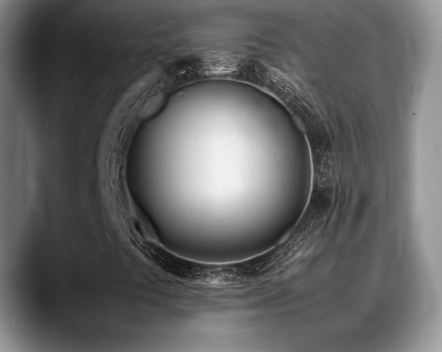 X0000088911441200706081333