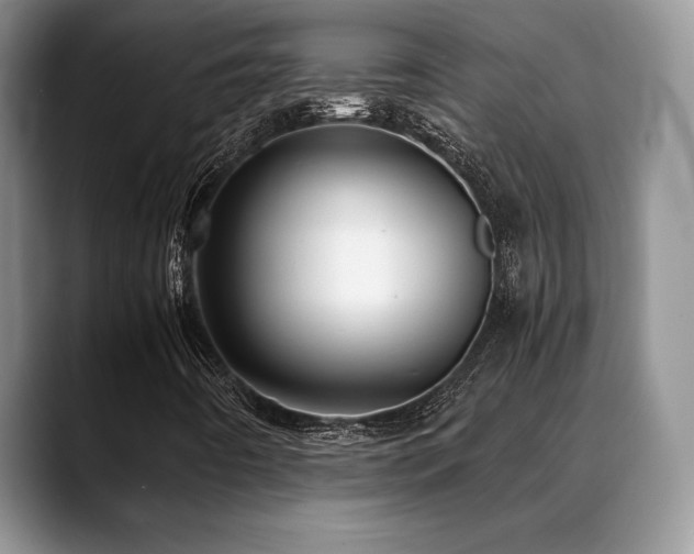 X0000088911442200706081333