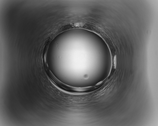 X0000088911443200706081333