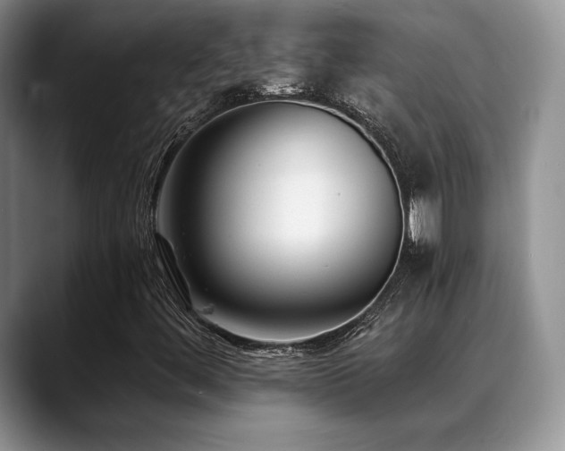 X0000088911444200706081333