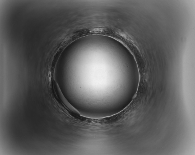 X0000088911445200706081333
