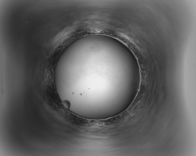 X0000088911446200706081333