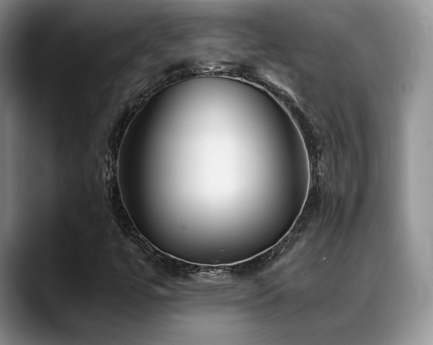X0000088911447200706081333