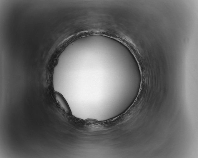 X0000088911448200706081333