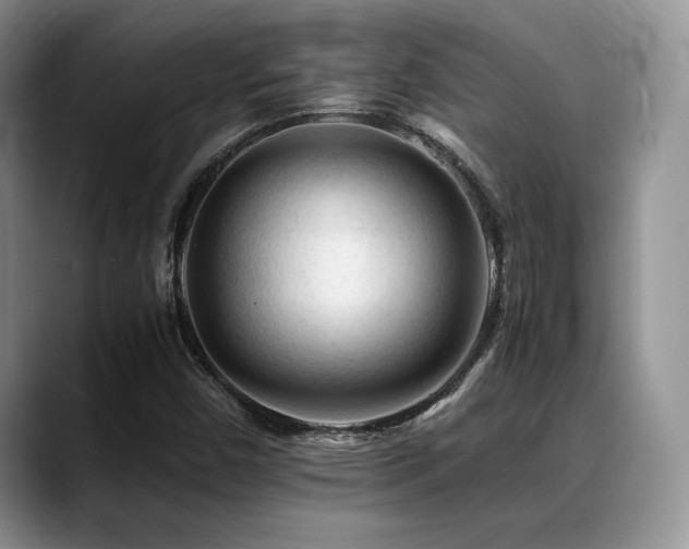 X0000088911450200706081333