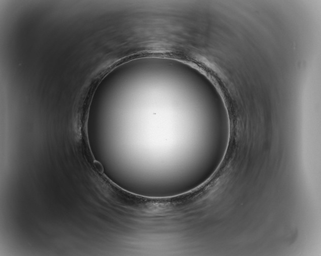 X0000088911451200706081333