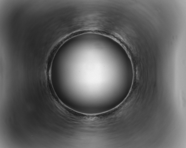 X0000088911452200706081333