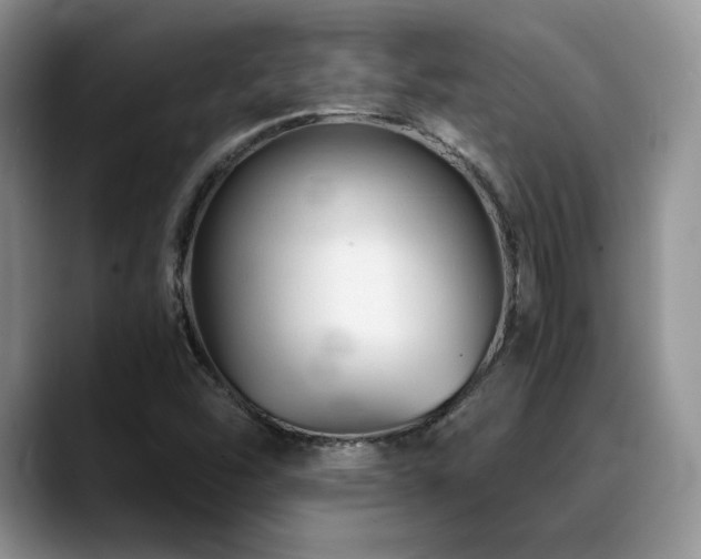 X0000088911454200706081333