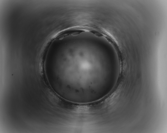 X0000088911455200706081333