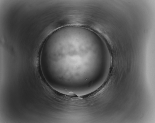 X0000088911459200706081333
