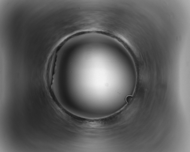 X0000088911460200706081333
