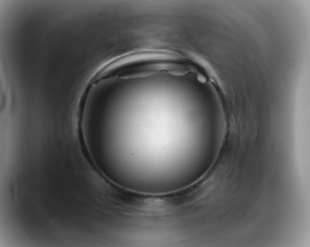 X0000088911463200706081333