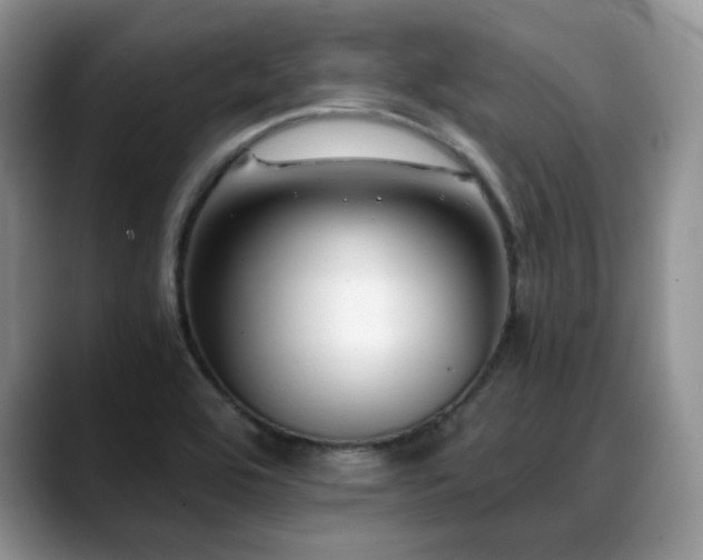 X0000088911464200706081333